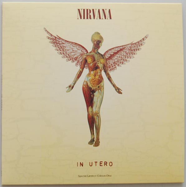 Front Cover, Nirvana - In Utero