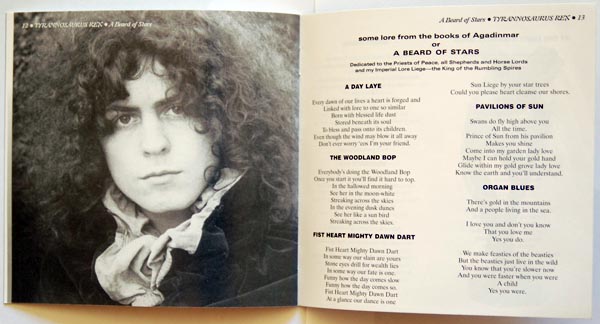 Booklet pages 12 & 13, T Rex (Tyrannosaurus Rex) - A Beard Of Stars +16