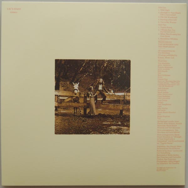 Back cover, Morrison, Van - Tupelo Honey