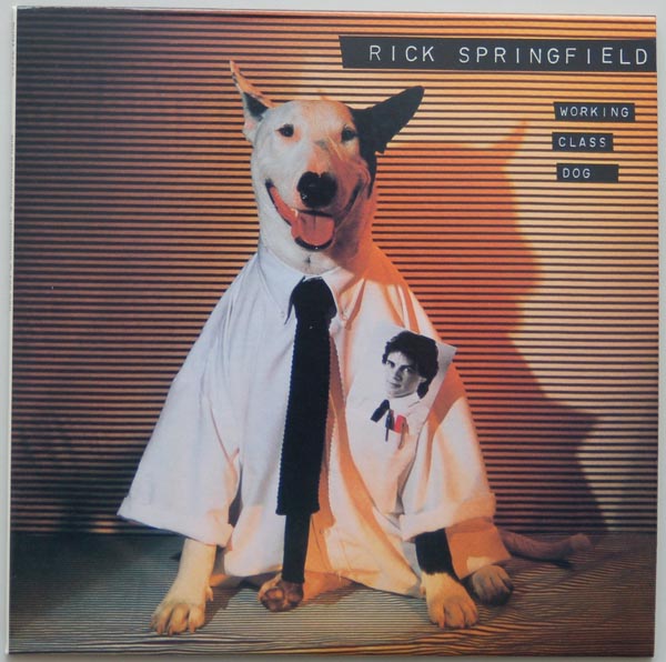 Front Cover, Springfield, Rick  - Working Class Dog