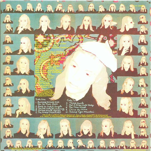 Back cover, Eno, Brian - Taking Tiger Mountain (By Strategy)