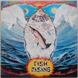 Hillage, Steve - Fish Rising, Front cover