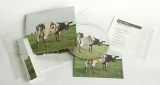 Pink Floyd - Atom Heart Mother, Full contents