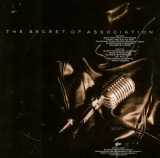 Young, Paul - The Secret Of Association +2, back cover